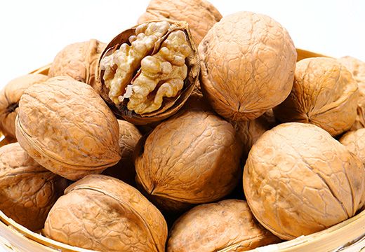 核桃烘干機(jī)價(jià)格多少錢一臺(tái)？先看一下核桃烘干機(jī)長什么樣子吧-[集木烘干]