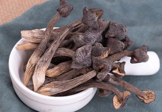 空氣能烘干機(jī)-未來市場的發(fā)展趨向-[集木烘干]