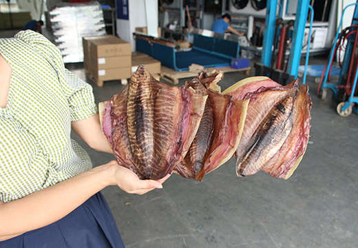 墨魚(yú)烘干案例