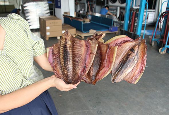 墨魚烘干案例
