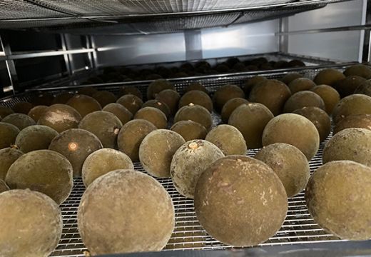 橘紅烘干機(jī)介紹以及干燥工藝分享【廣州集木】