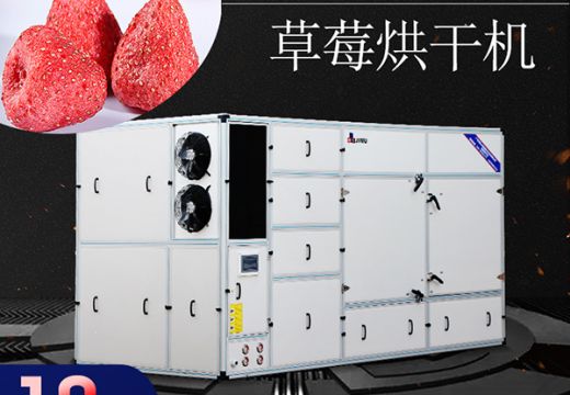 怎樣用草莓烘干機烘美味草莓 【廣州集木】