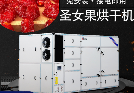 干制圣女果，圣女果烘干機(jī)方便節(jié)能【廣州集木】