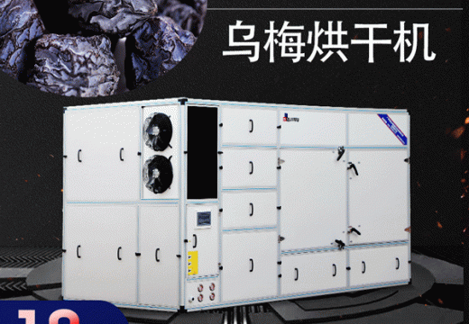別再被騙了！烏梅烘干機(jī)沒有你想的那么差