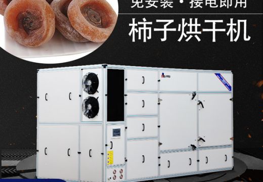 一臺(tái)好柿子烘干機(jī)的重要性【廣州集木】