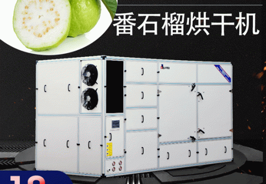 你錯了!番石榴烘干機比你想象的要好！ 【廣州集木】