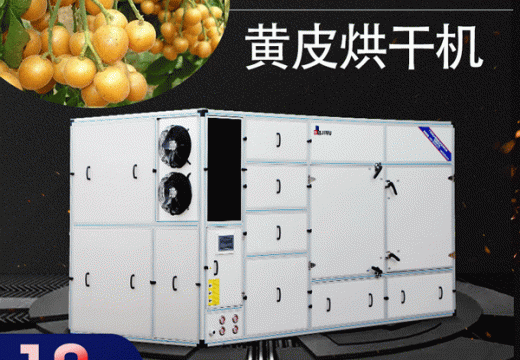 藥用價(jià)值非常高的黃皮干是用黃皮烘干機(jī)制作【廣州集木】