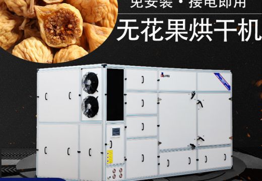 為什么要用無花果烘干機干燥無花果？【廣州集木】