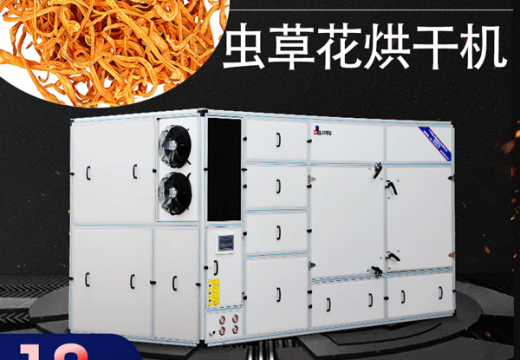 蟲草花烘干機火了，是中藥材產(chǎn)業(yè)的首選【廣州集木】