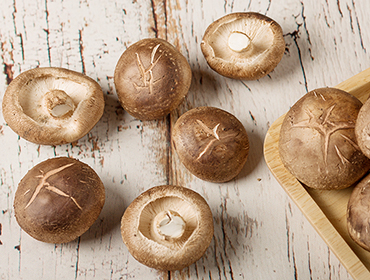 食用菌烘干機(jī)