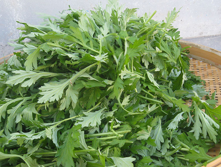 艾草烘干機(jī)