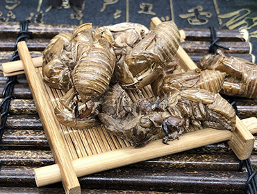 蟬蛻烘干機(jī)