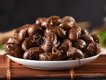 蟬蛻烘干機(jī)