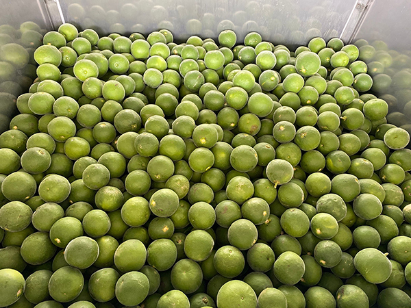 化橘紅烘干機(jī)