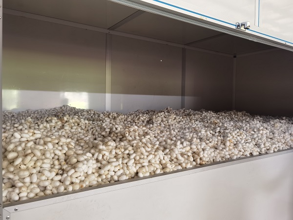 蠶繭烘干機(jī)