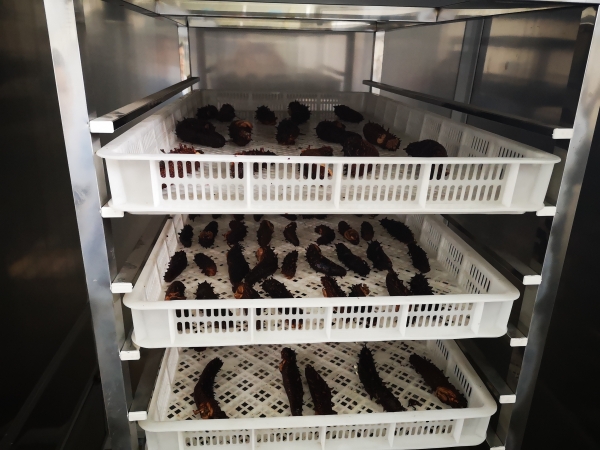 海參烘干機(jī)